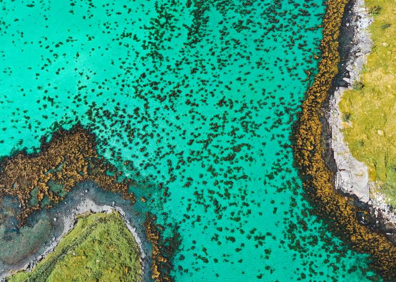 Financial Services Marketing Communications - A Growing Regulator Focus
